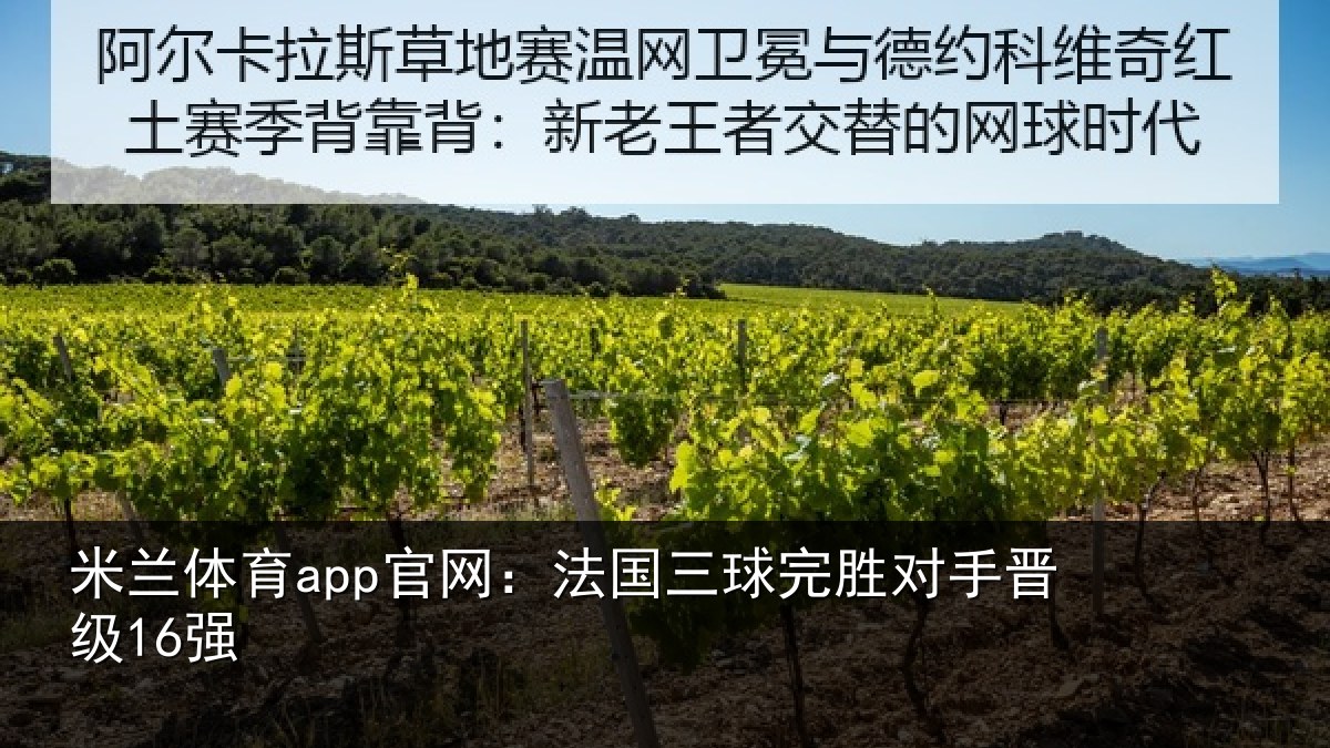 米兰体育app官网：法国三球完胜对手晋级16强