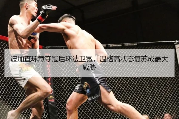 bo-jia-cha-huan-yi-duo-guan-hou-huan-fa-wei-mian-wen-ge-gao-zhuang-tai-fu-su-cheng-zui-da-wei-xie-3-364.jpg