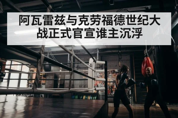 boxer training